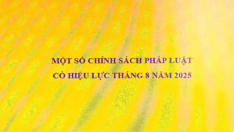 mot-so-chinh-sach-phap-luat-moi-co-hieu-luc-tu-thang-82025